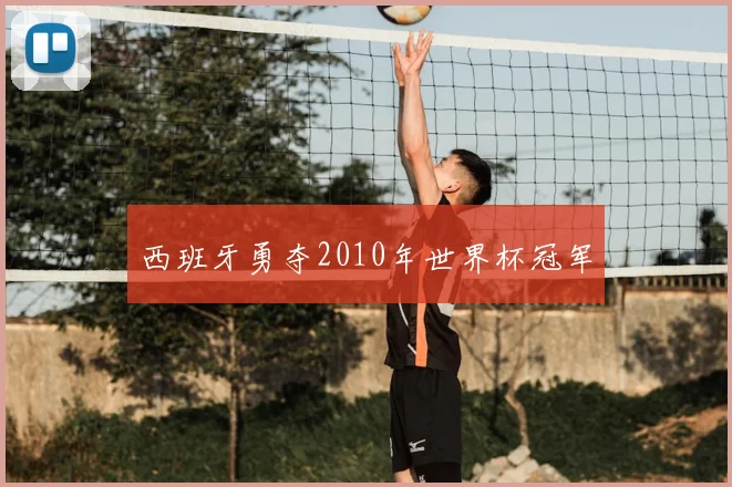 西班牙勇夺2010年世界杯冠军
