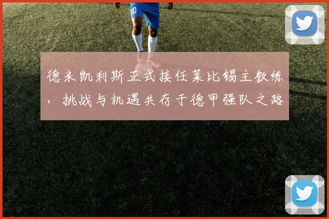 德米凯利斯正式接任莱比锡主教练，挑战与机遇共存于德甲强队之路_拜仁慕尼黑_技战术_马德里竞技